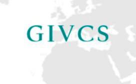 Second Annual Meeting of GIVCS